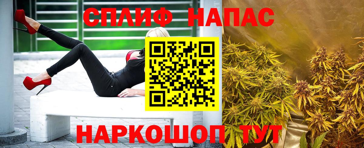 Канабис ГИДРОПОН Долгопрудный